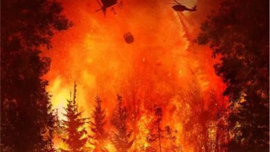 On Fire (2023) - Hollywood Movie